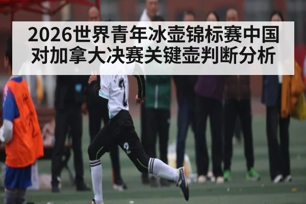 2026世界青年冰壶锦标赛中国对加拿大决赛关键壶判断分析
